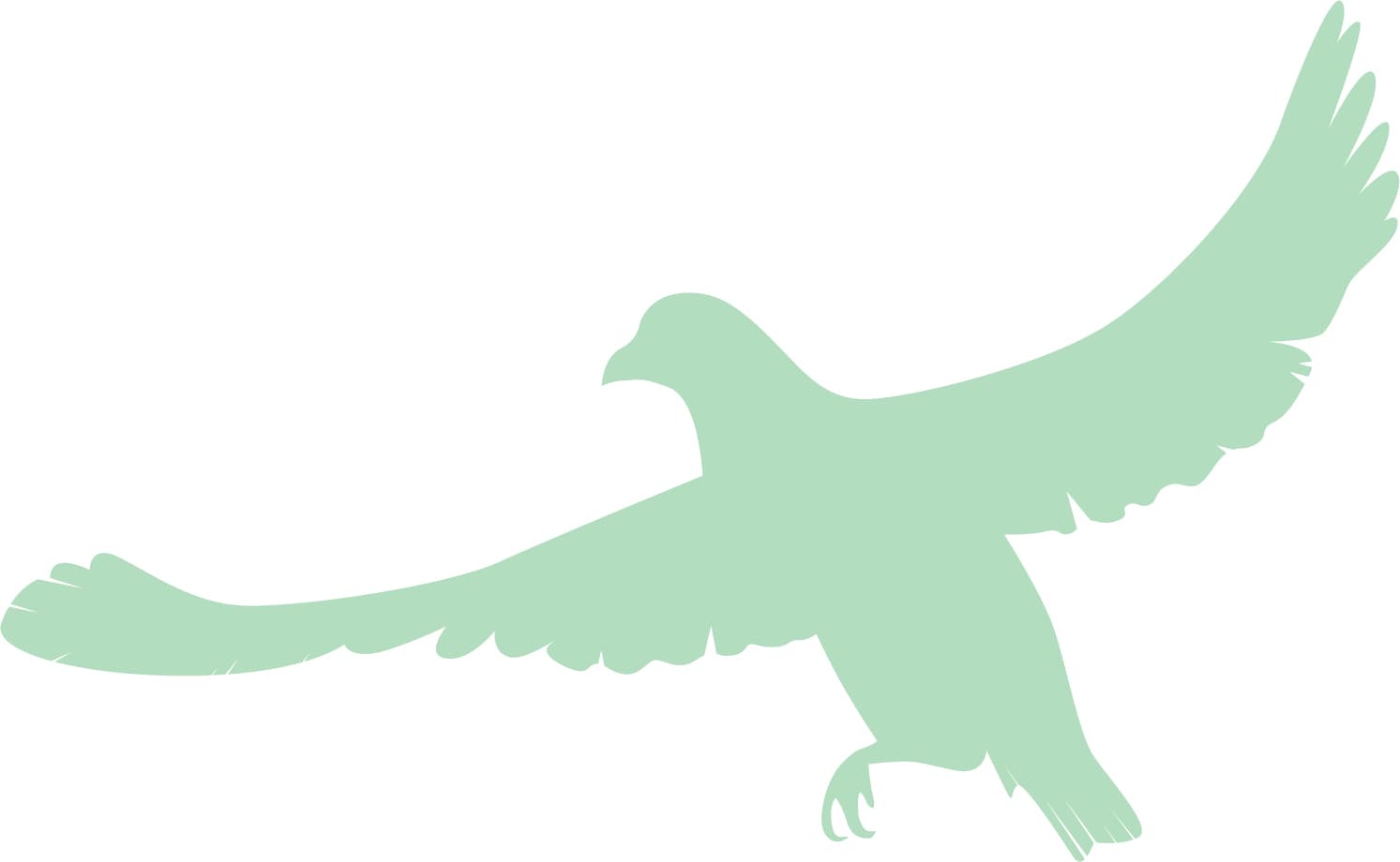 白鳩レンタル サービス セブンデイズ 鳩のイメージ画像