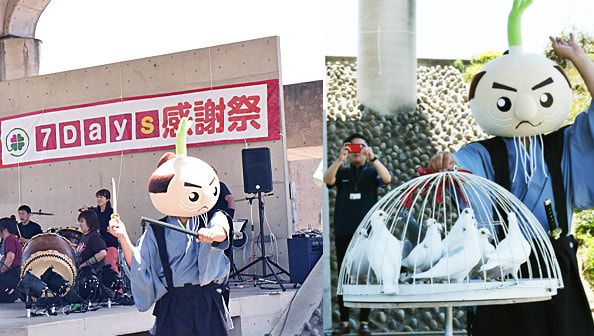 セブンデイズ感謝祭イメージ:白鳩 レンタル セブンデイズ